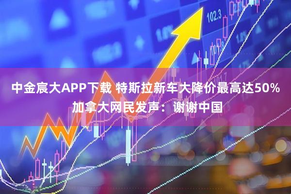 中金宸大APP下载 特斯拉新车大降价最高达50% 加拿大网民发声：谢谢中国