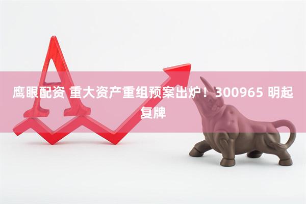鹰眼配资 重大资产重组预案出炉！300965 明起复牌